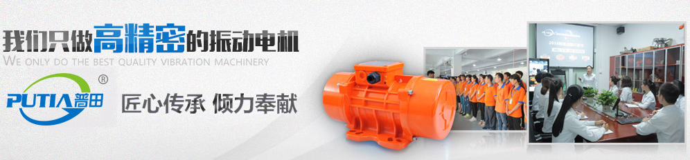欣佳宏小型振動電機(jī)